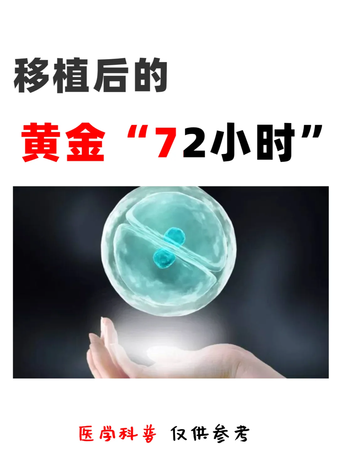 生殖科医生科普：移植后的“黄金72小时”,代孕机构哪家正规