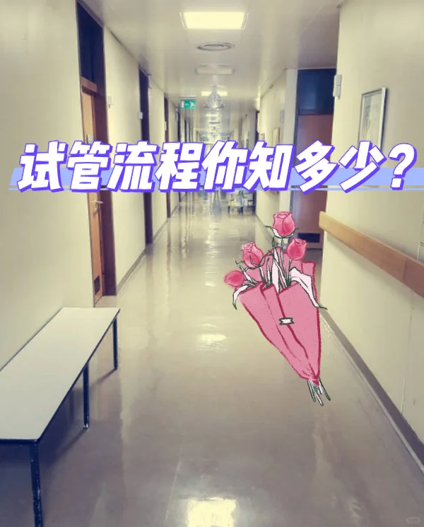 还不知道试管流程？抓紧看过来！