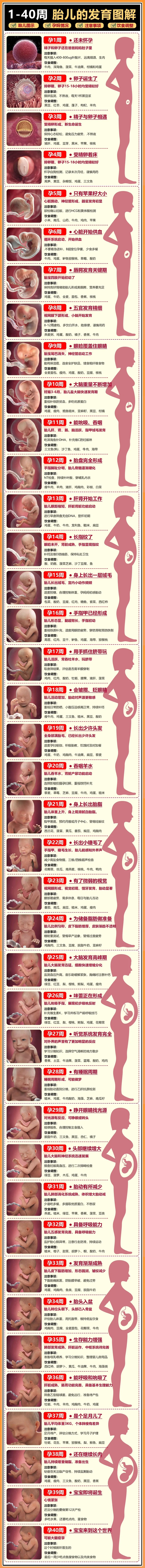 怀孕1-40周，胎儿每周成长过程是怎样的？