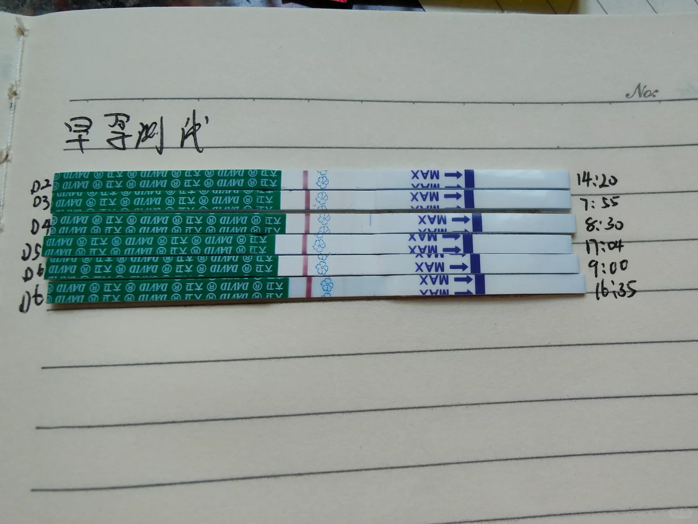 移植第6天(含移植当天)