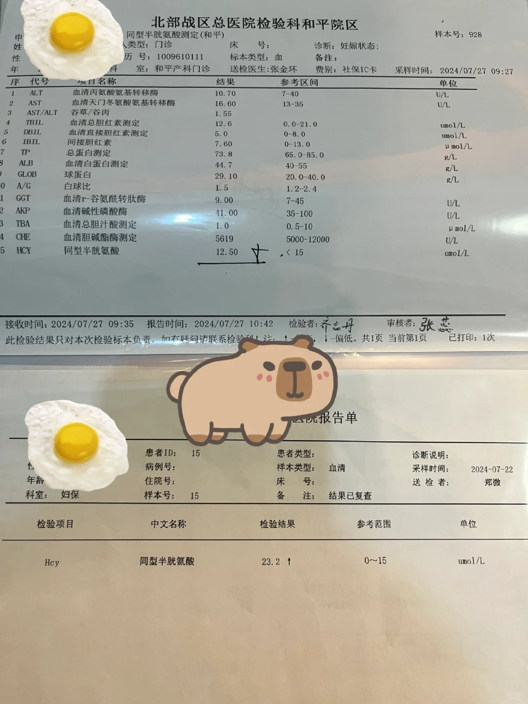 孕早期同型半胱氨酸高！请理智别焦虑！