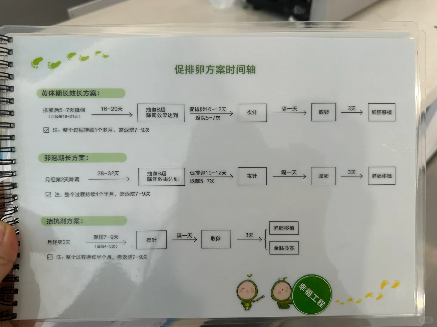 促排卵方案起关键性作用！！！,国内有供卵库么&国内供卵官网地址