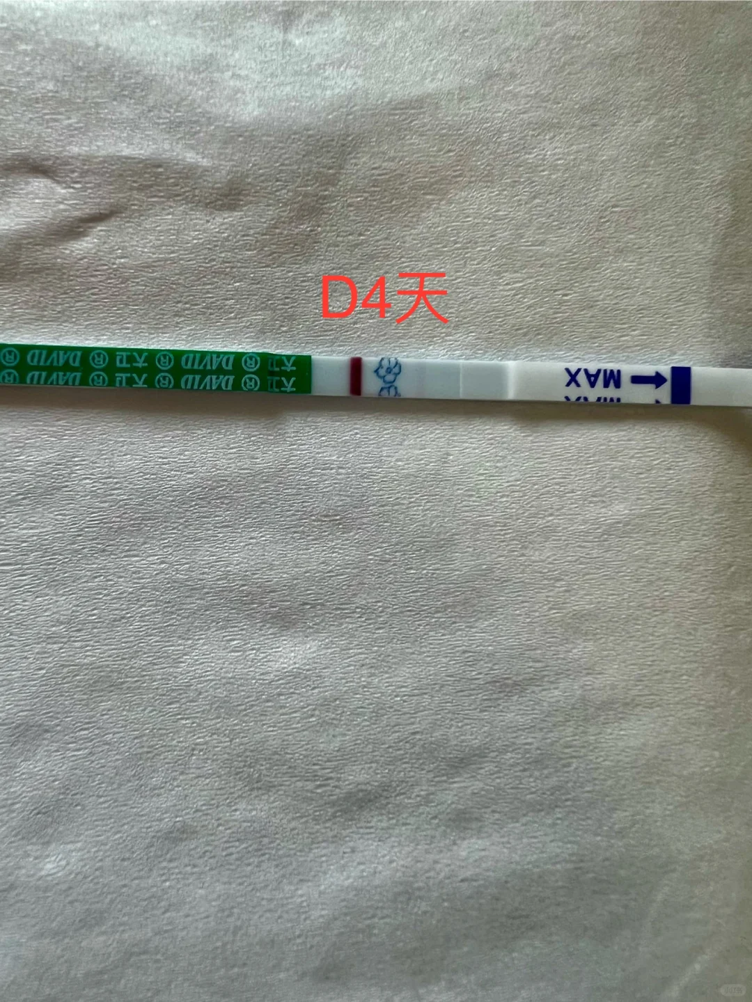 鲜胚移植第五天