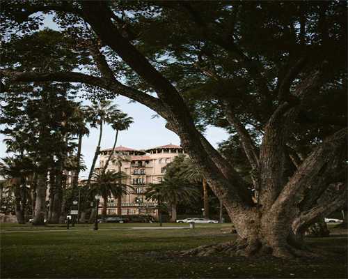 卵子老化是什么原因？卵泡2.0x1.8什么时候排？